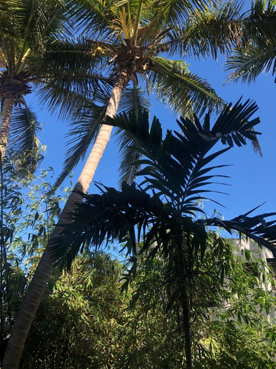 Villa Florencia Bavaro 푼타 카나 외부 사진