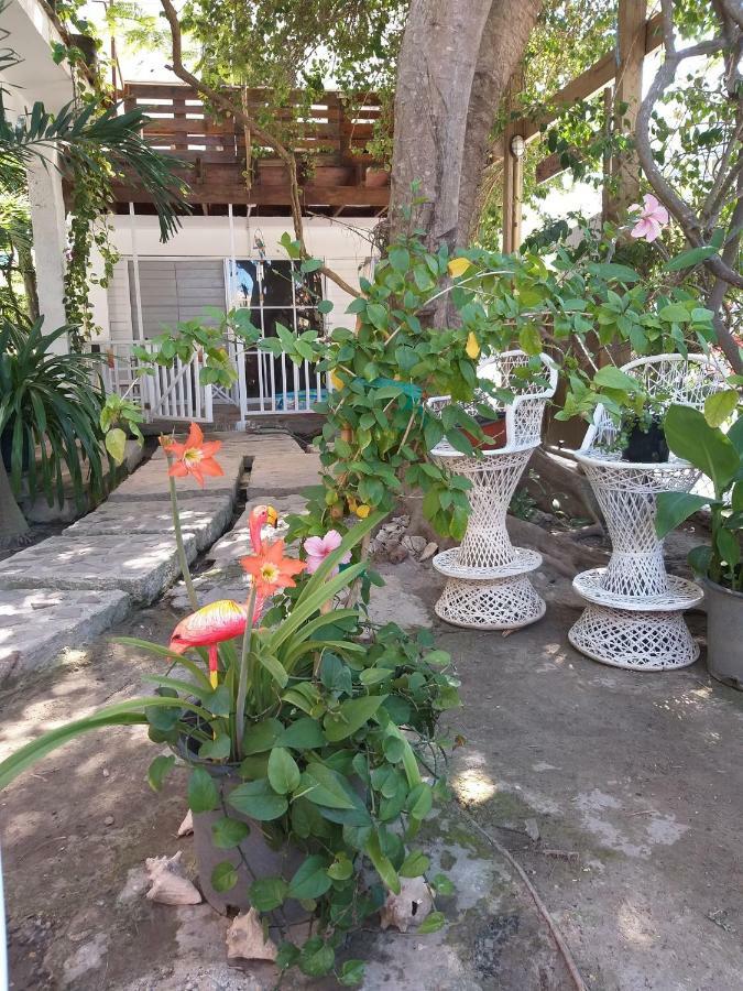 Villa Florencia Bavaro 푼타 카나 외부 사진